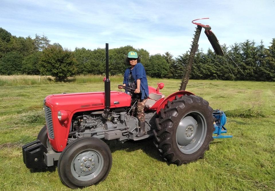 Massey Ferguson MF35X billede 12