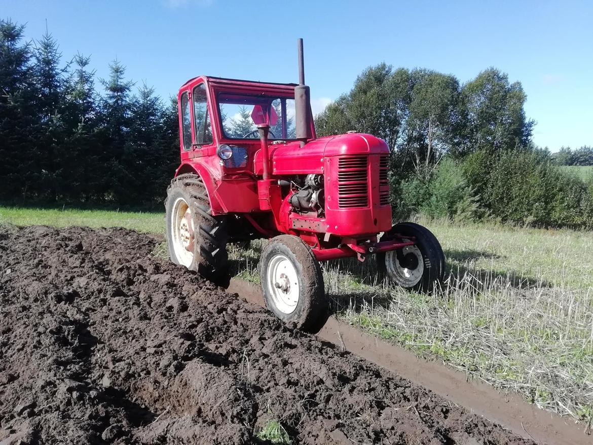 Volvo BM 230 victor billede 2