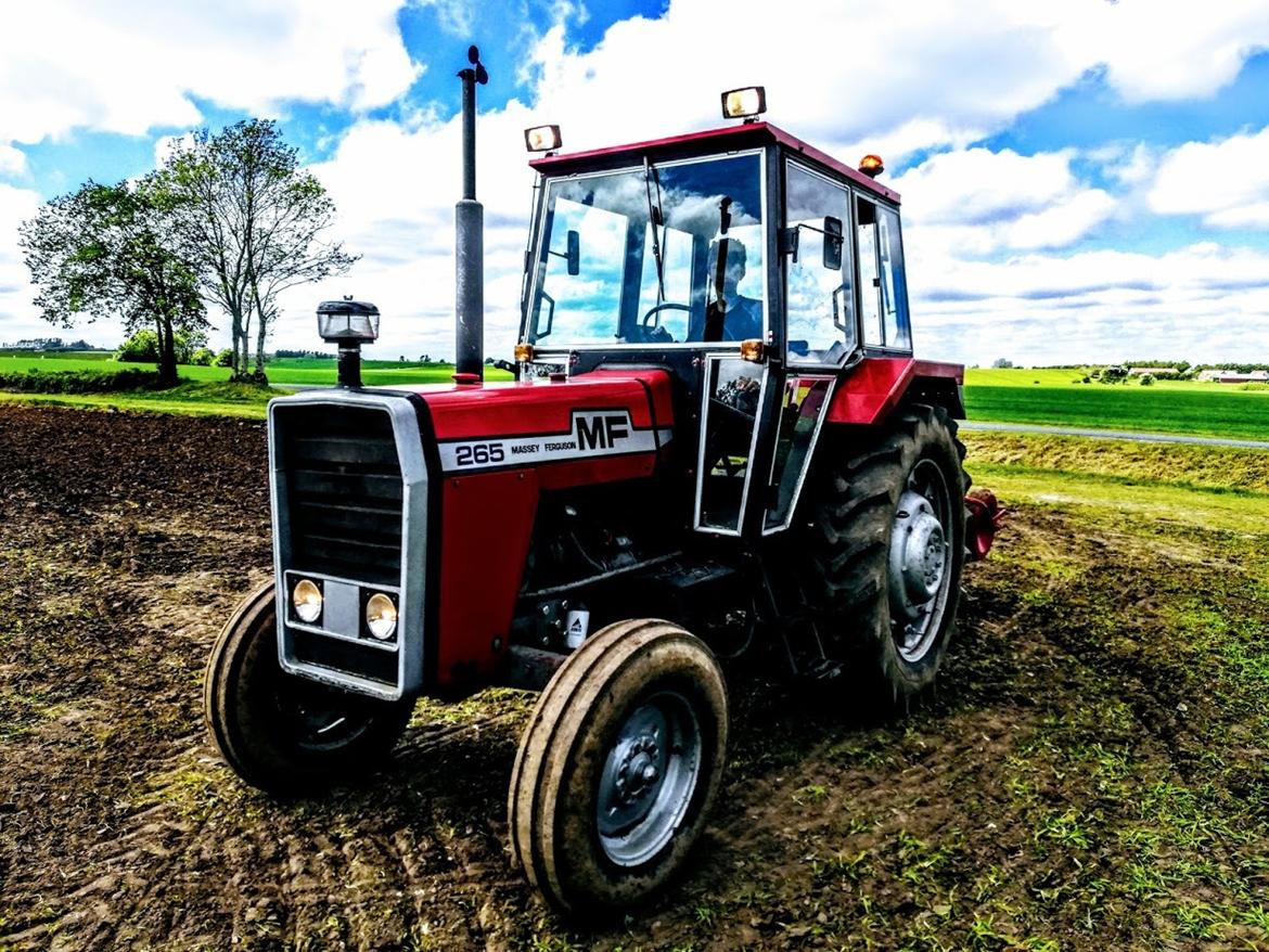 Massey Ferguson 265 billede 3