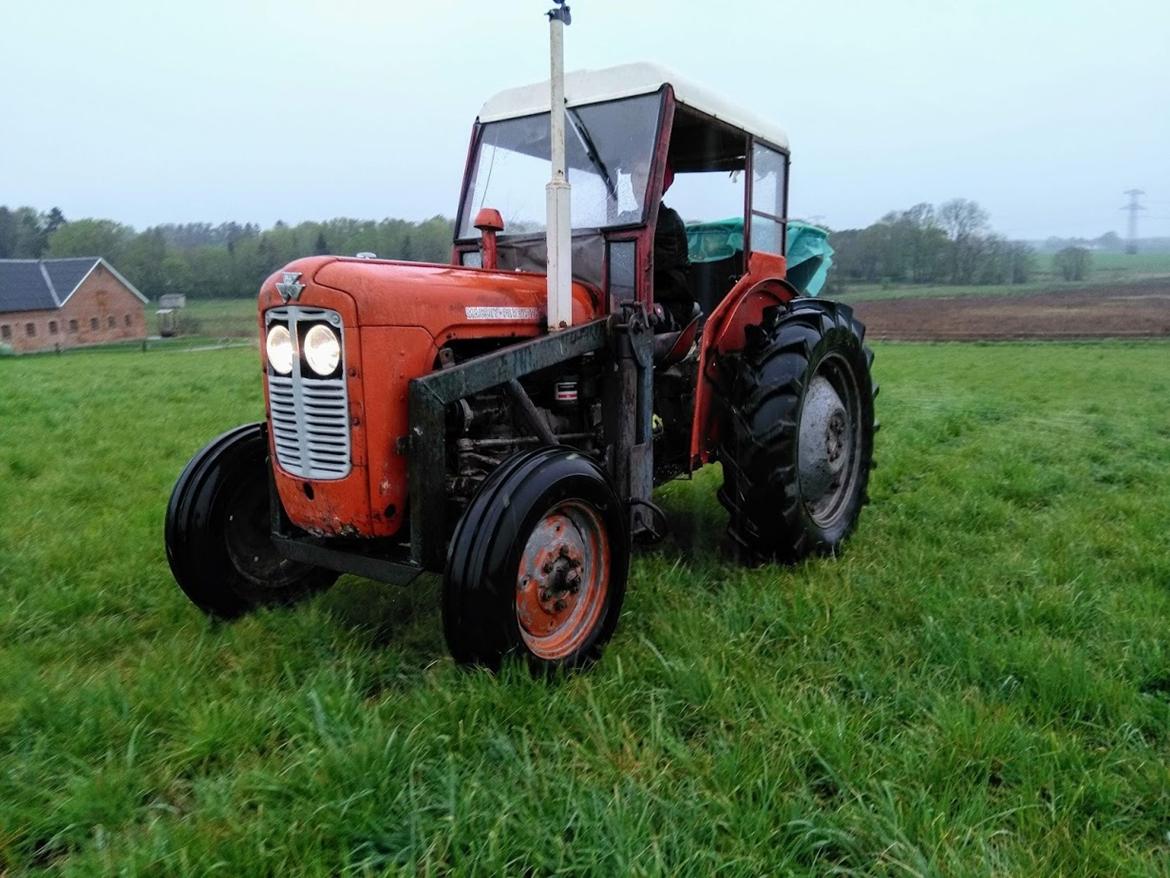 Massey Ferguson MF35 billede 7