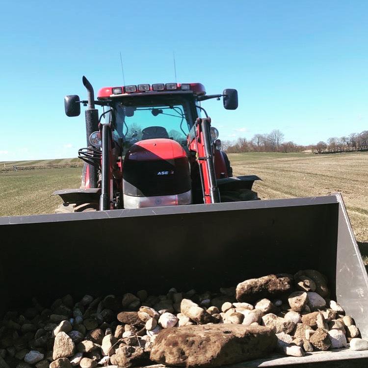 Case IH Puma 225  - Da jeg var ude og samle sten  billede 6