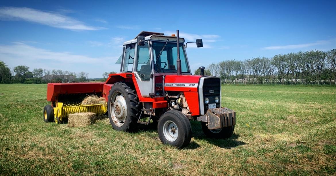 Massey Ferguson 690 billede 8