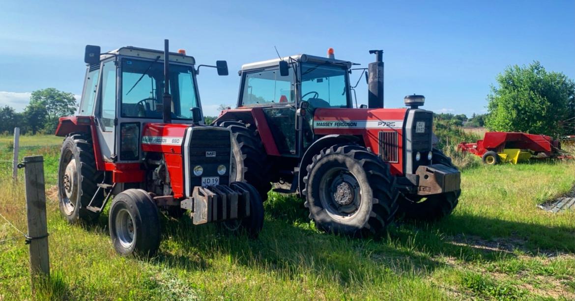 Massey Ferguson 690 billede 9