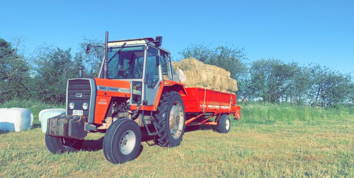 Massey Ferguson 690 billede 11