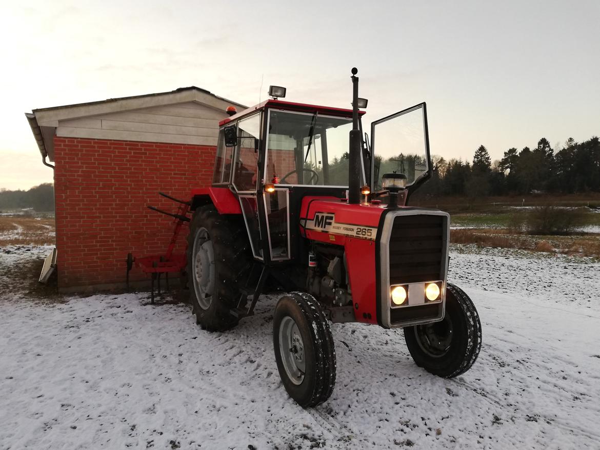 Massey Ferguson 265 billede 12