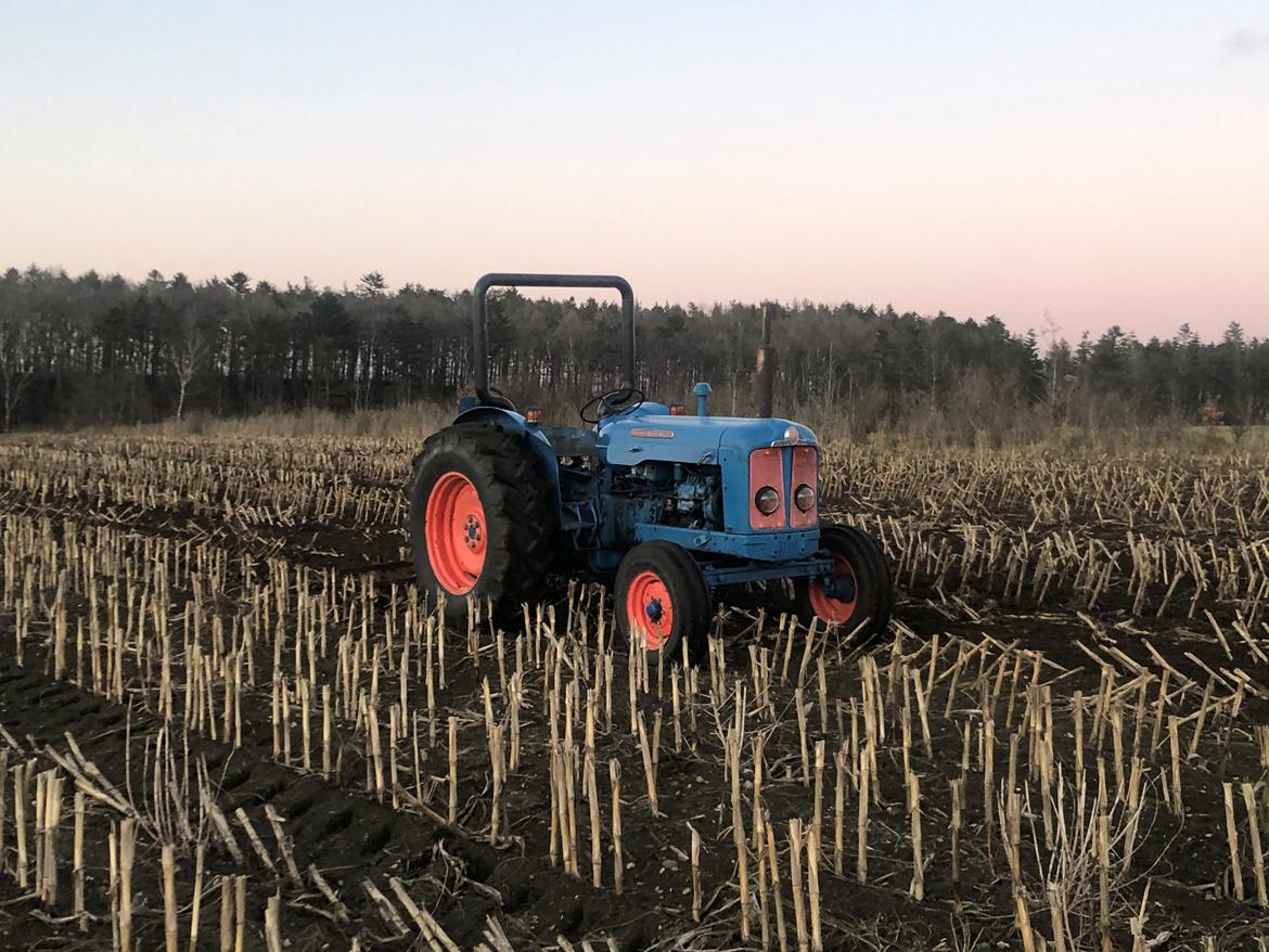 Fordson Super major - Solnedgang vi skal ikke hjem vi skal videre:) billede 8