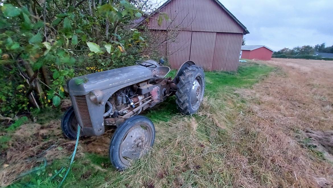 Ferguson 31  - her står den inden den blev kørt hjem  billede 8