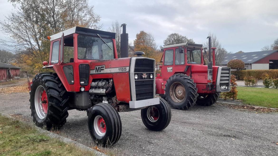 Massey Ferguson 1200 billede 9