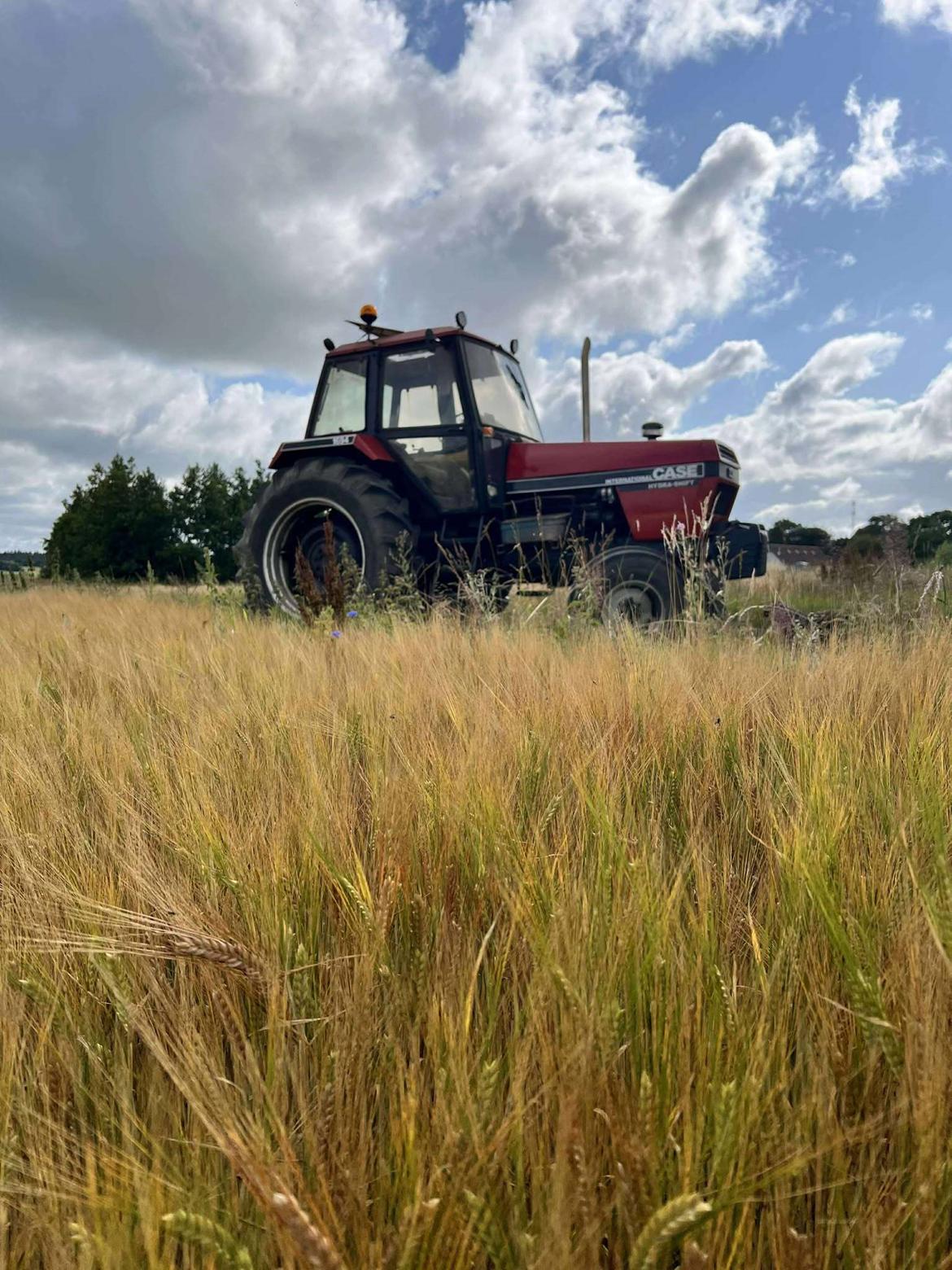 Case 1690 billede 4