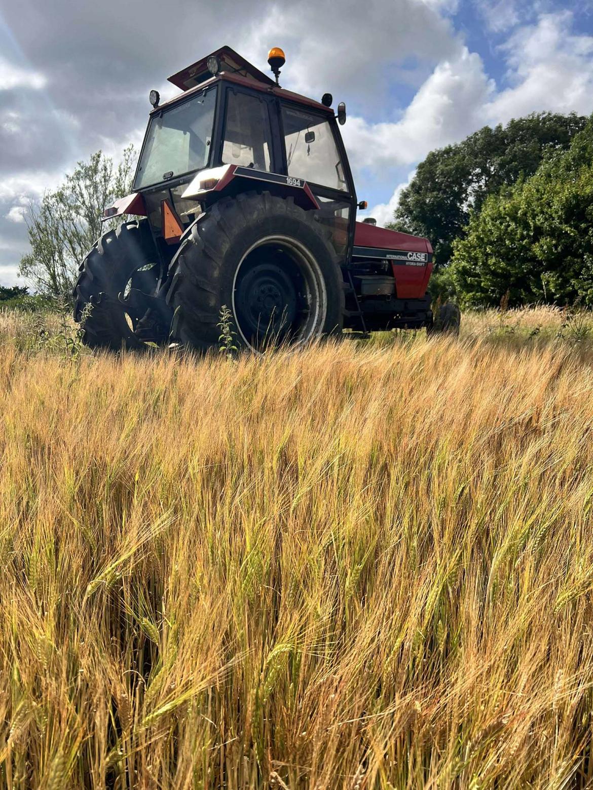 Case 1690 billede 5