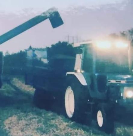 Ford 6610 billede 2