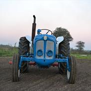 Fordson dexta