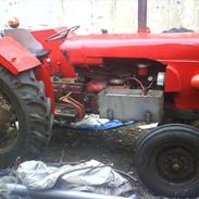David Brown 950