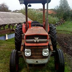 Massey Ferguson 135