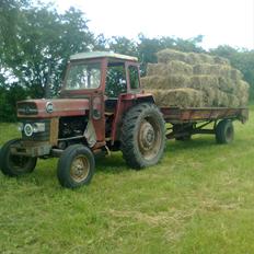 Massey Ferguson 165 X