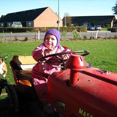 Massey Ferguson 35