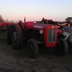 Massey Ferguson 35