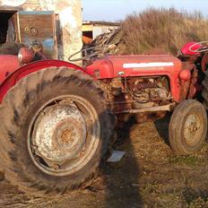 Massey Ferguson 35