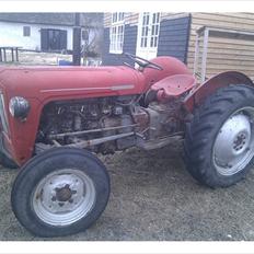 Ferguson 35 Guldfugl