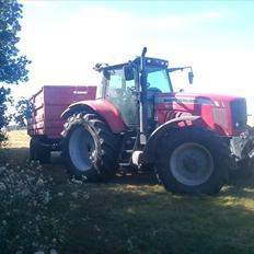 Massey Ferguson 6495