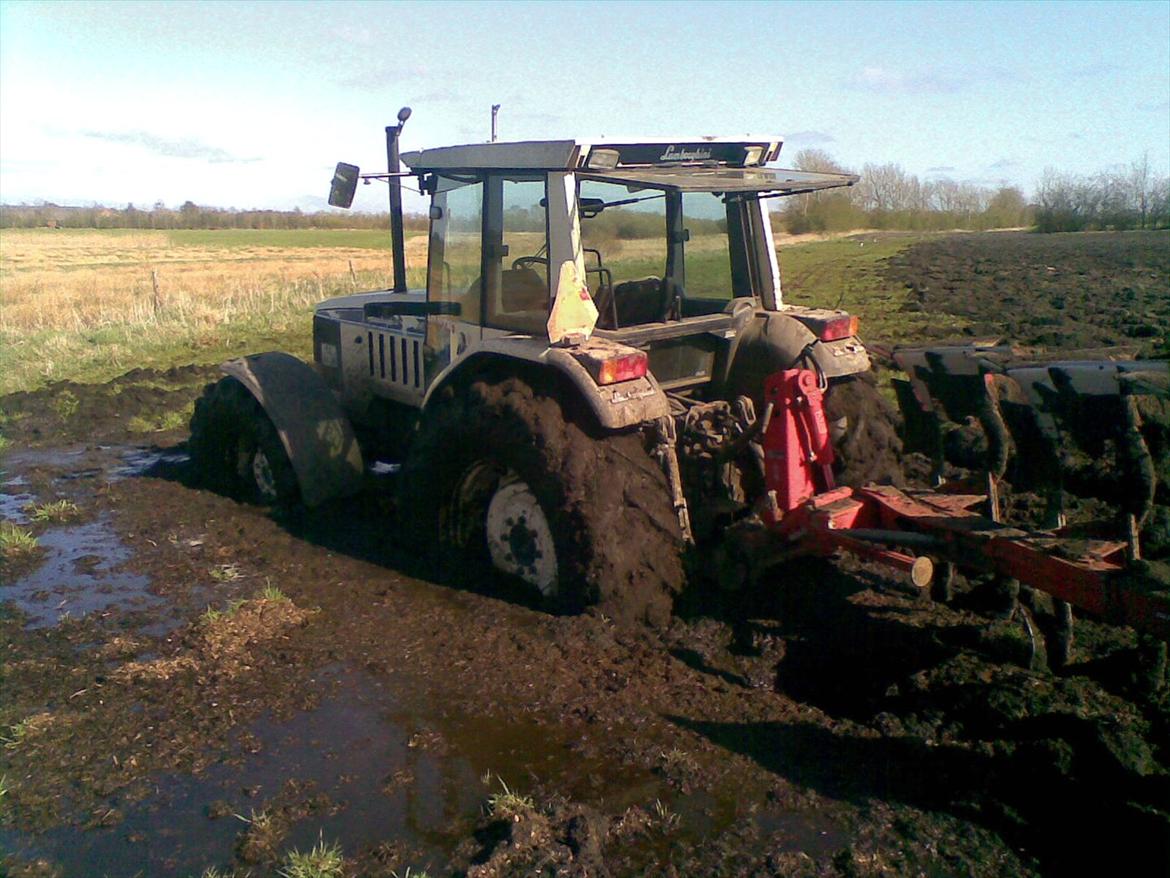 Lamborghini 135 Turbo - Det var blød på æ forager å naboens jord. billede 9