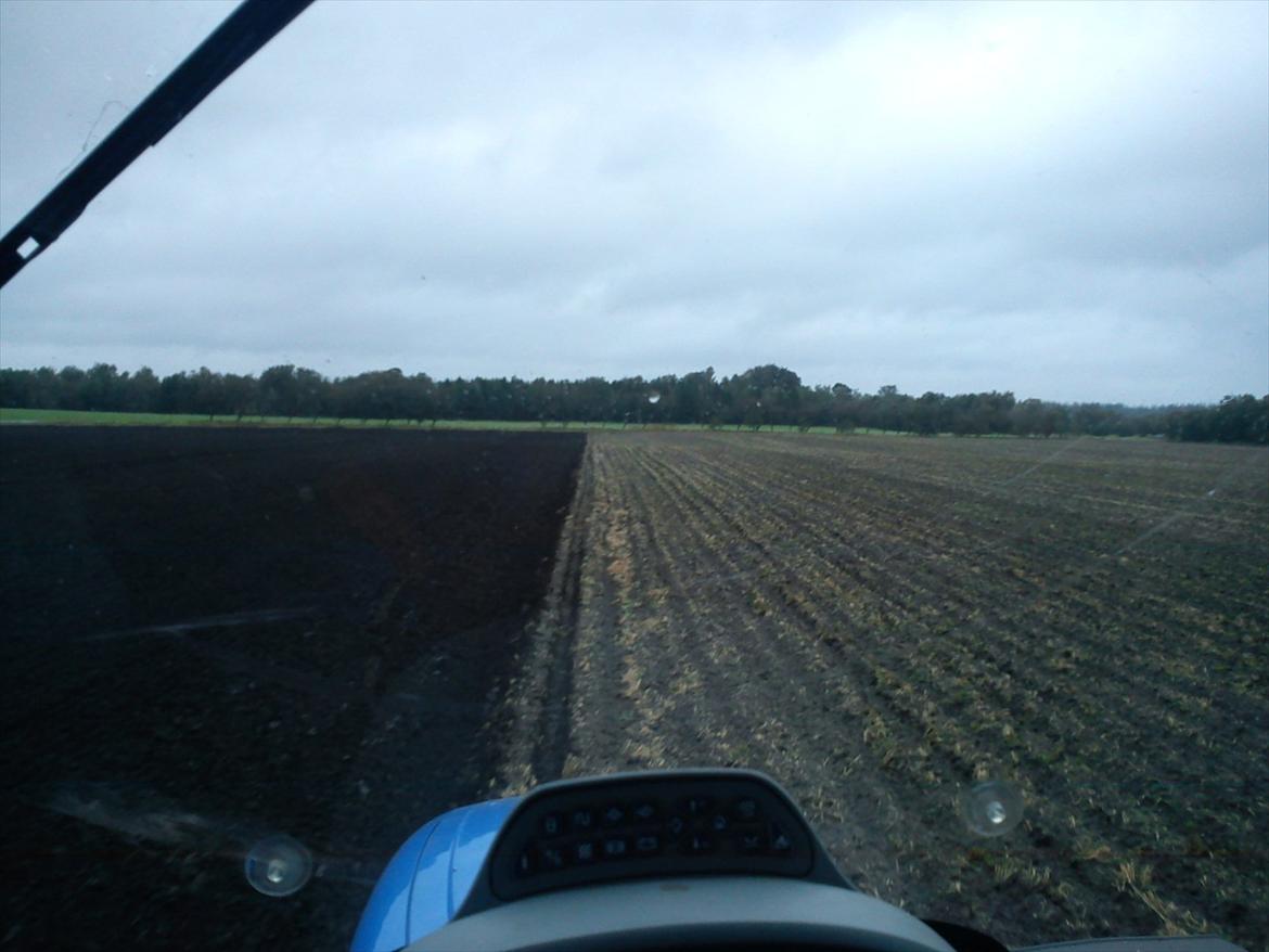 New Holland T6080 PowerCommand - Lidt lige er det da  billede 7