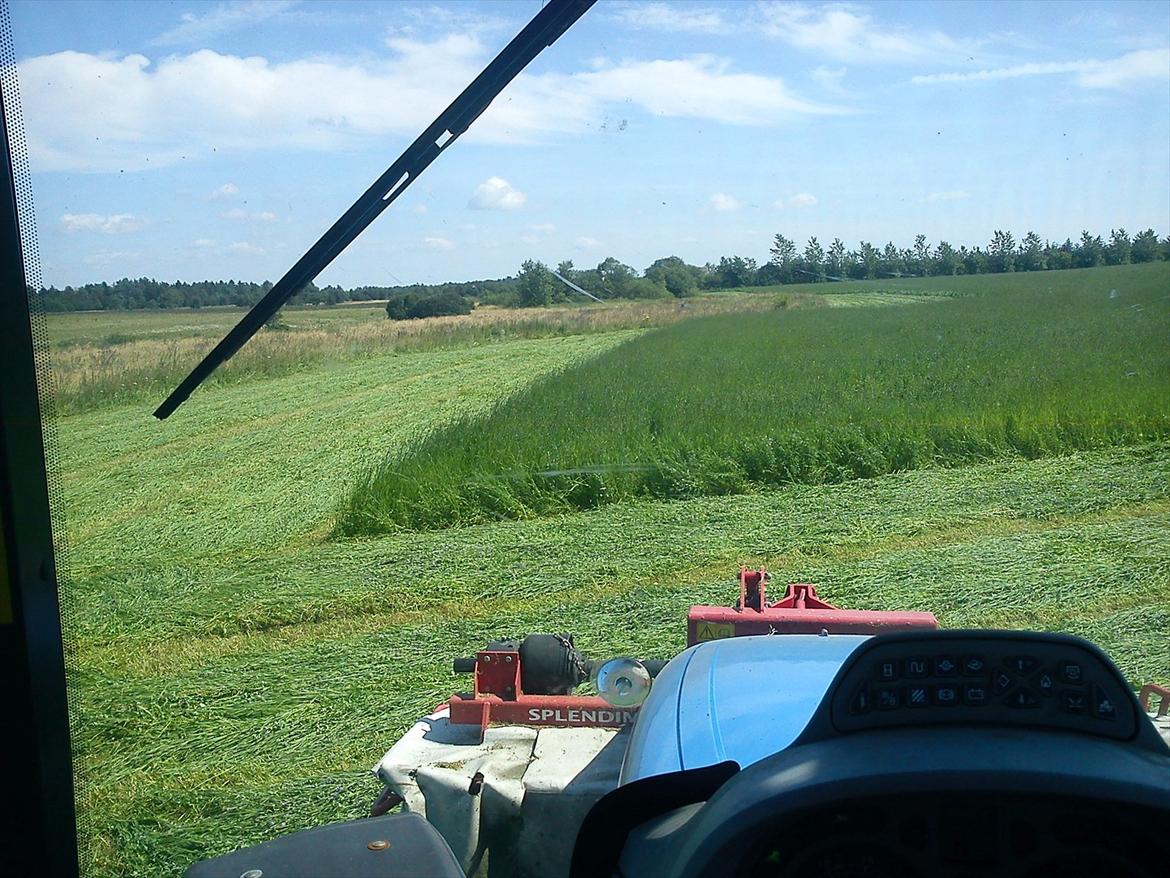 New Holland T6080 PowerCommand - Ude at skårlægge lucerne billede 9