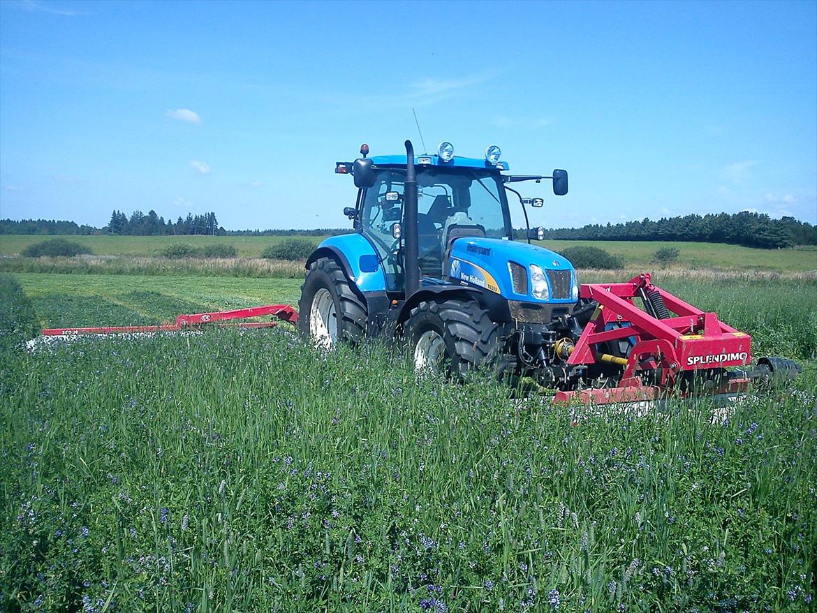 New Holland T6080 PowerCommand - Her kan man bedre se hvor høj lucernen er billede 10