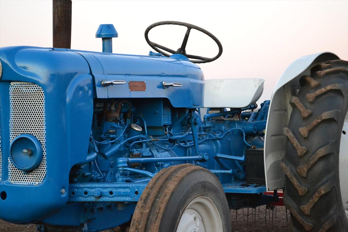 Fordson dexta billede 3