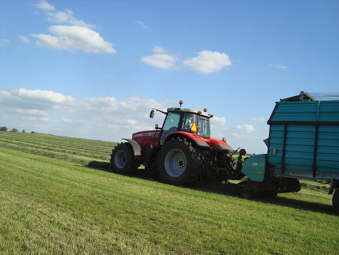 Massey Ferguson 7495 Dyna VT - Da vi tog anden slæt 2010. Med Mengele opsamlervogn. billede 9