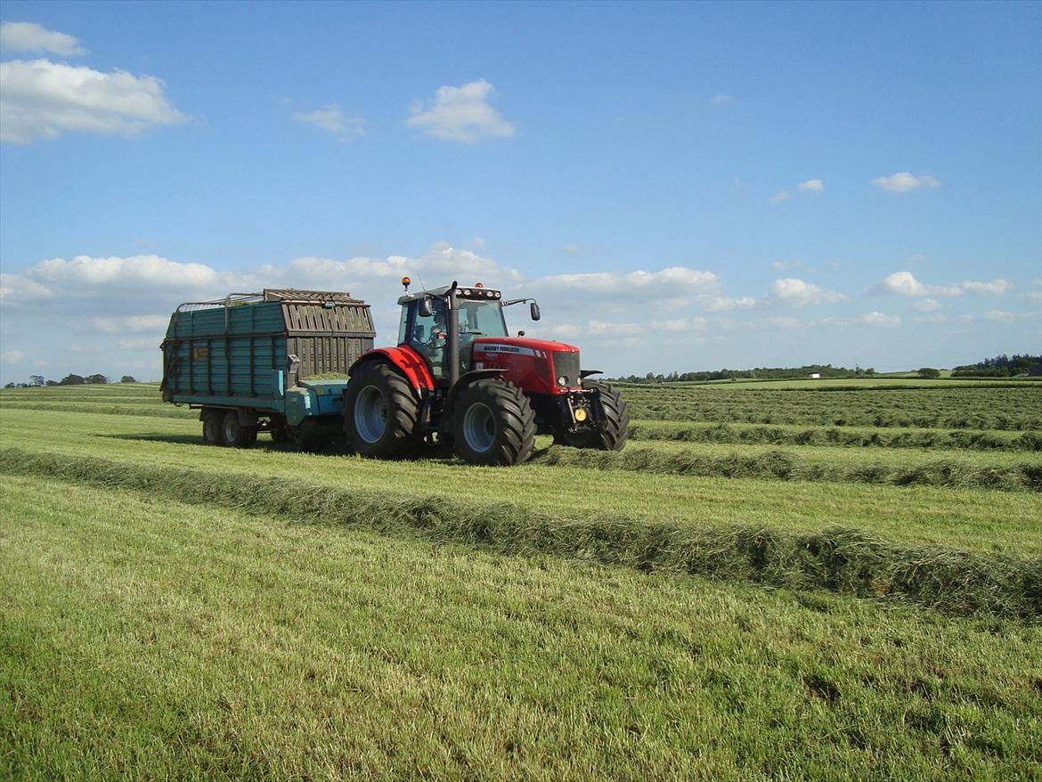 Massey Ferguson 7495 Dyna VT - Da vi tog anden slæt 2010. Med Mengele opsamlervogn. billede 10