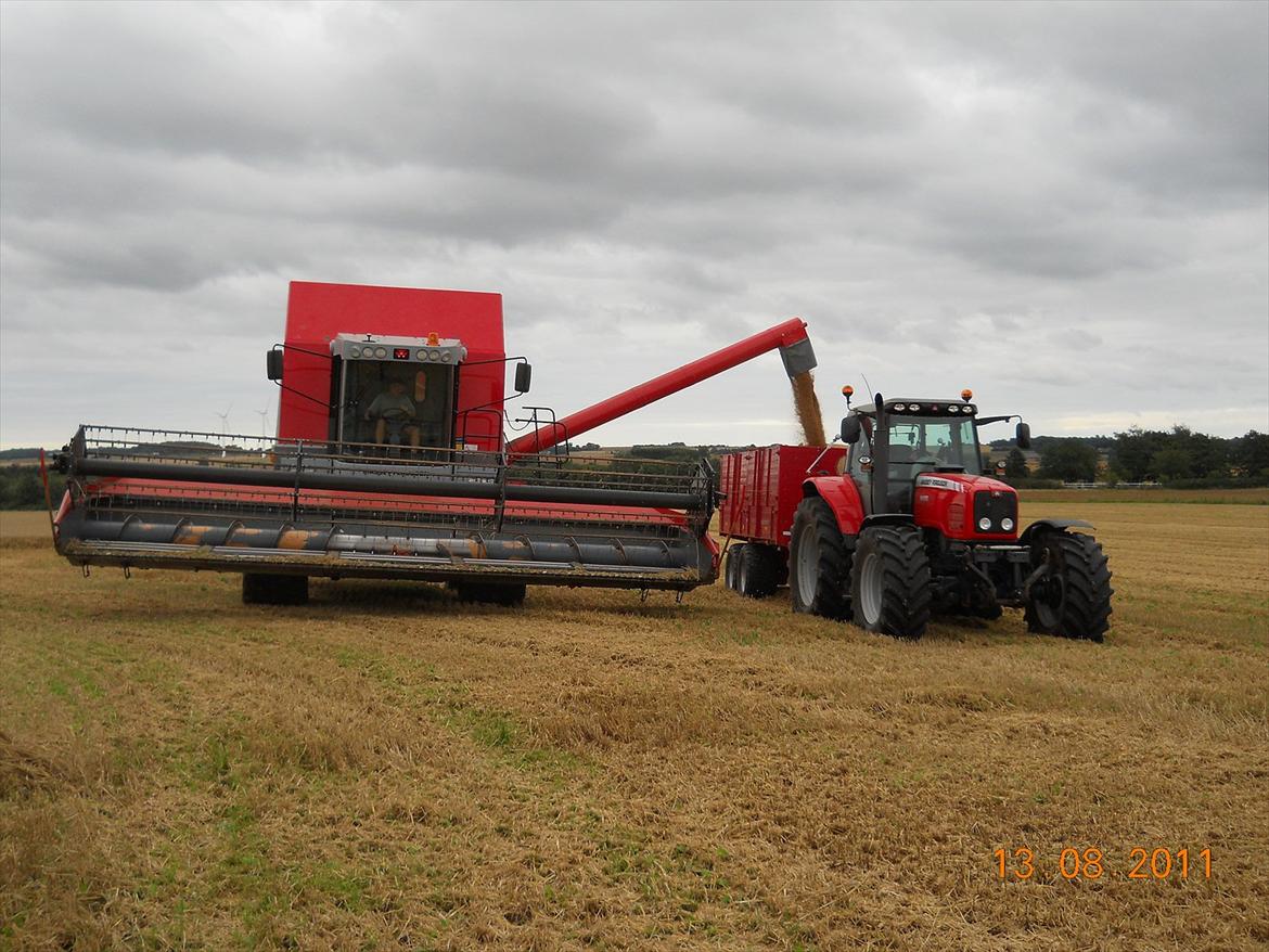 Massey Ferguson 6490 dyna 4 - så tømmes der af ;) på 12T`sen  billede 9