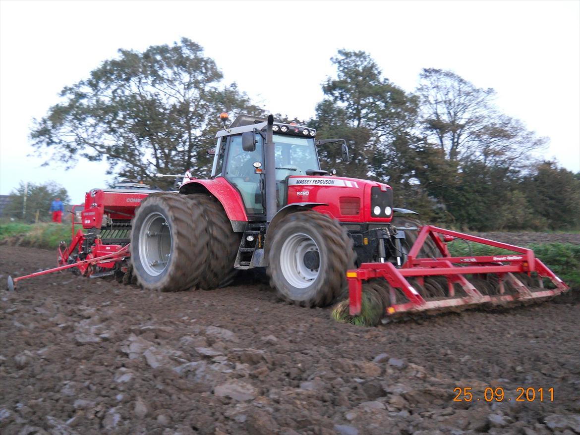 Massey Ferguson 6490 dyna 4 - så kommer hveden i jorden med maner  billede 13