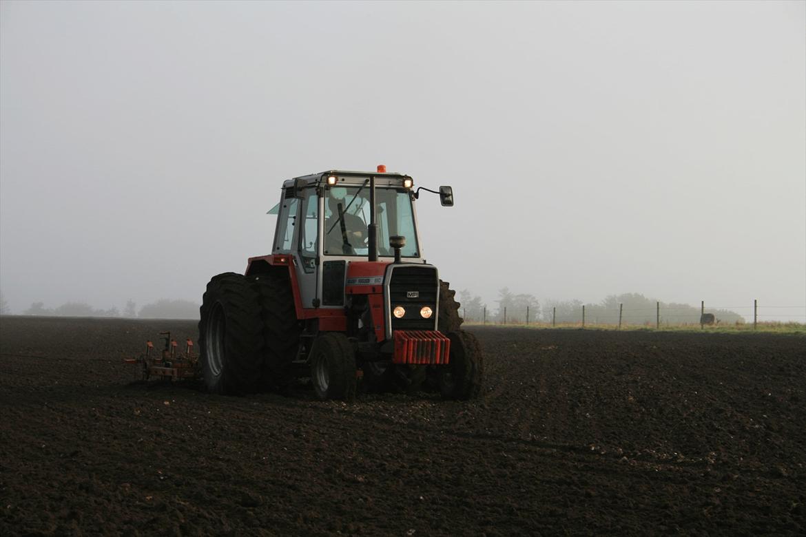 Massey Ferguson 690 - Harvning 20111 med DoubletRecord KultiDan og 690´eren  billede 8