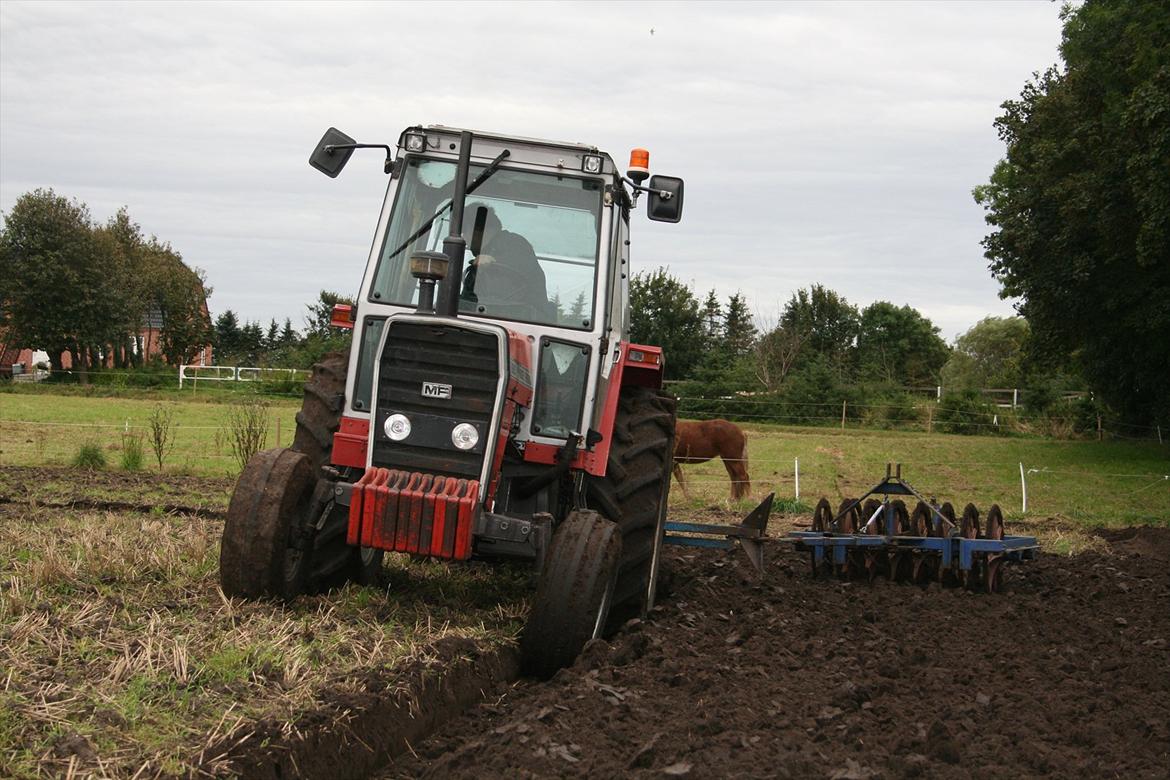 Massey Ferguson 690 - 690´eren med den 3 furet vendeplov og pakker , det er bare dejligt at køre og pløje stille og roligt i weekenderne med dette sæt billede 10