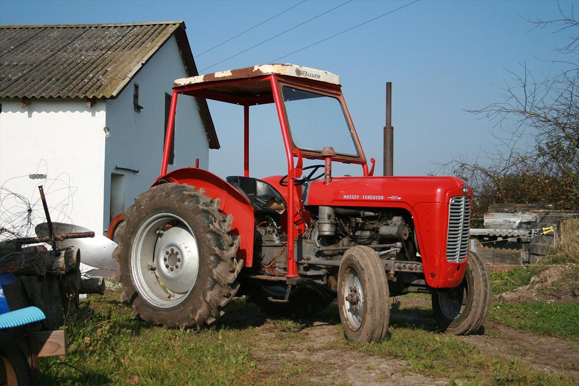 Massey Ferguson 35X - det er blevet en helt anden traktor efter der blev monteret tag (kun mens vi pløjede)  billede 3