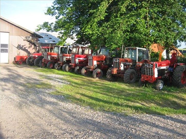 International Harvester 966 Skiltetunet til 1466 billede 8