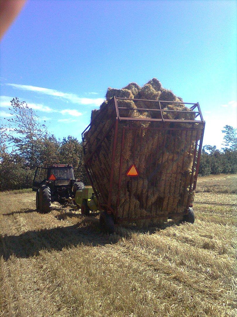 Case IH 1056 xl billede 8