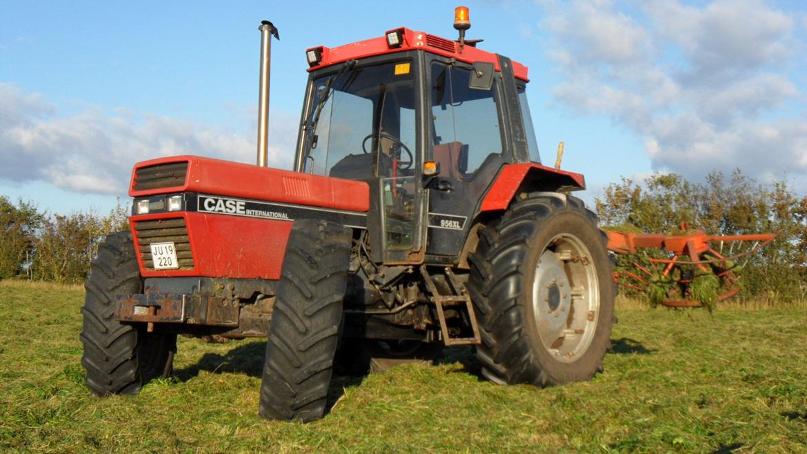 Case IH 956 XL - Var ude og vende græs billede 10