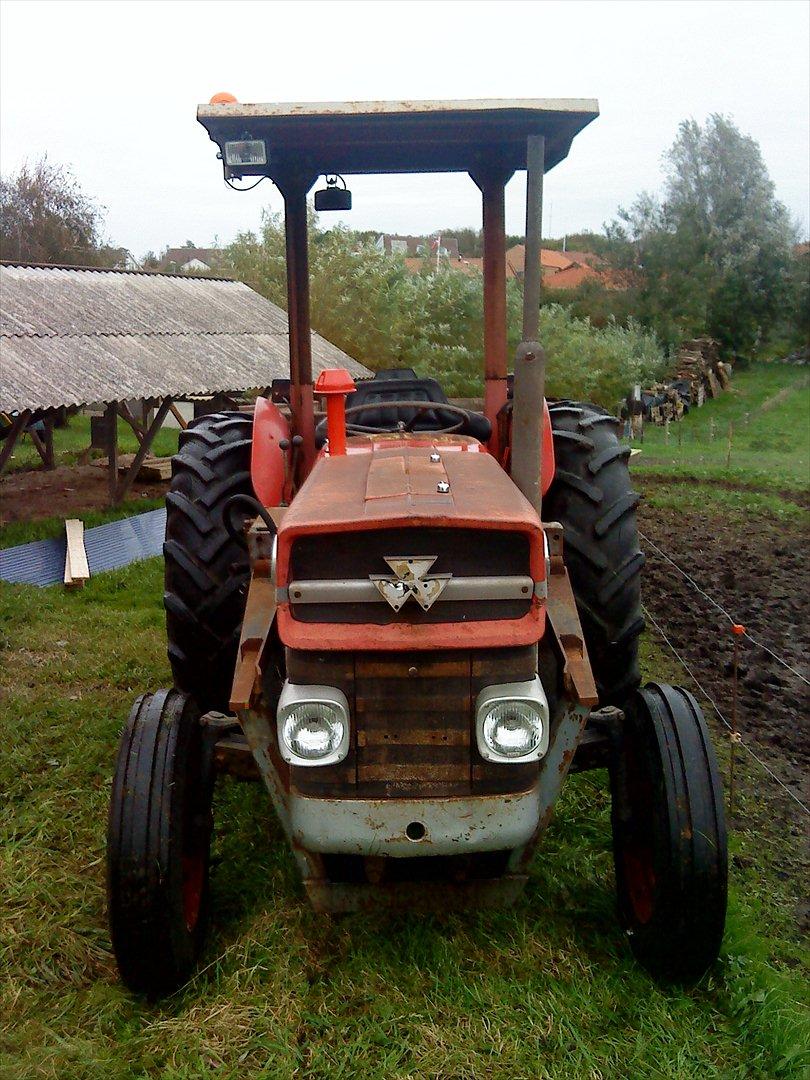 Massey Ferguson 135 billede 2