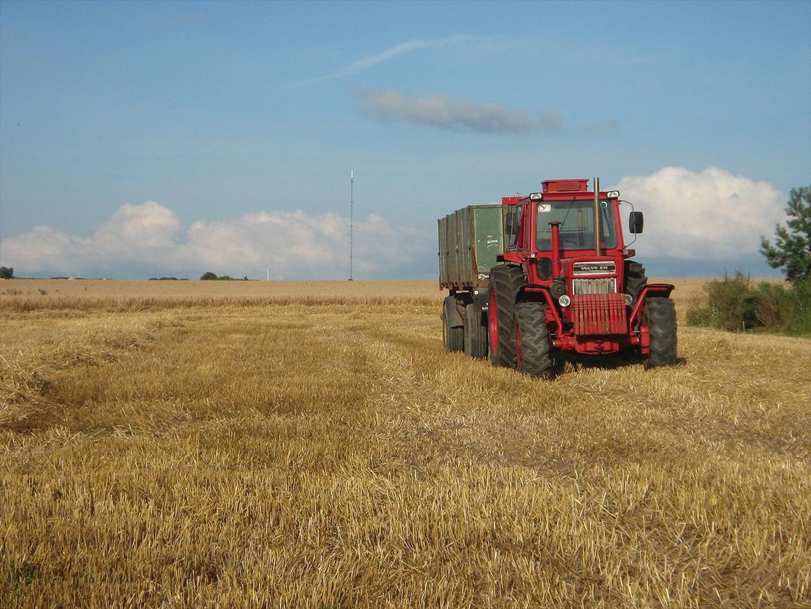 Volvo BM 814 "Volle 1" billede 13