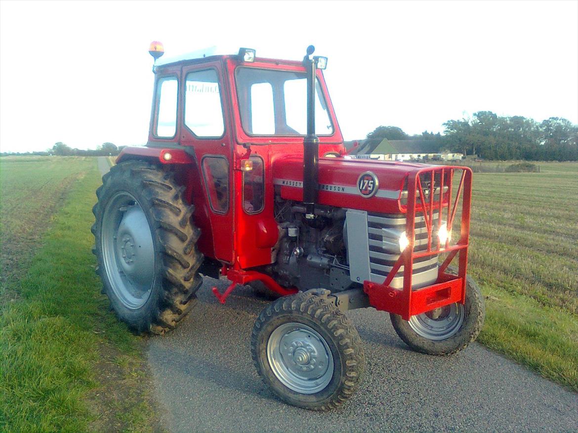 Massey Ferguson 175S "Hankatten"  billede 1