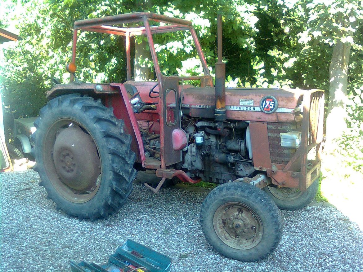 Massey Ferguson 175S "Hankatten"  - det var som den så ud billede 13