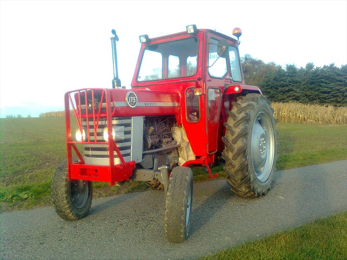 Massey Ferguson 175S "Hankatten"  billede 4