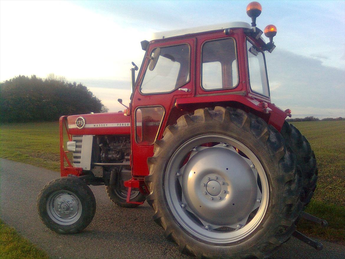 Massey Ferguson 175S "Hankatten"  billede 5