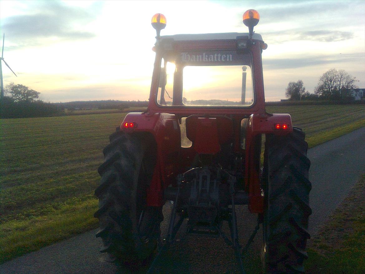 Massey Ferguson 175S "Hankatten"  billede 6