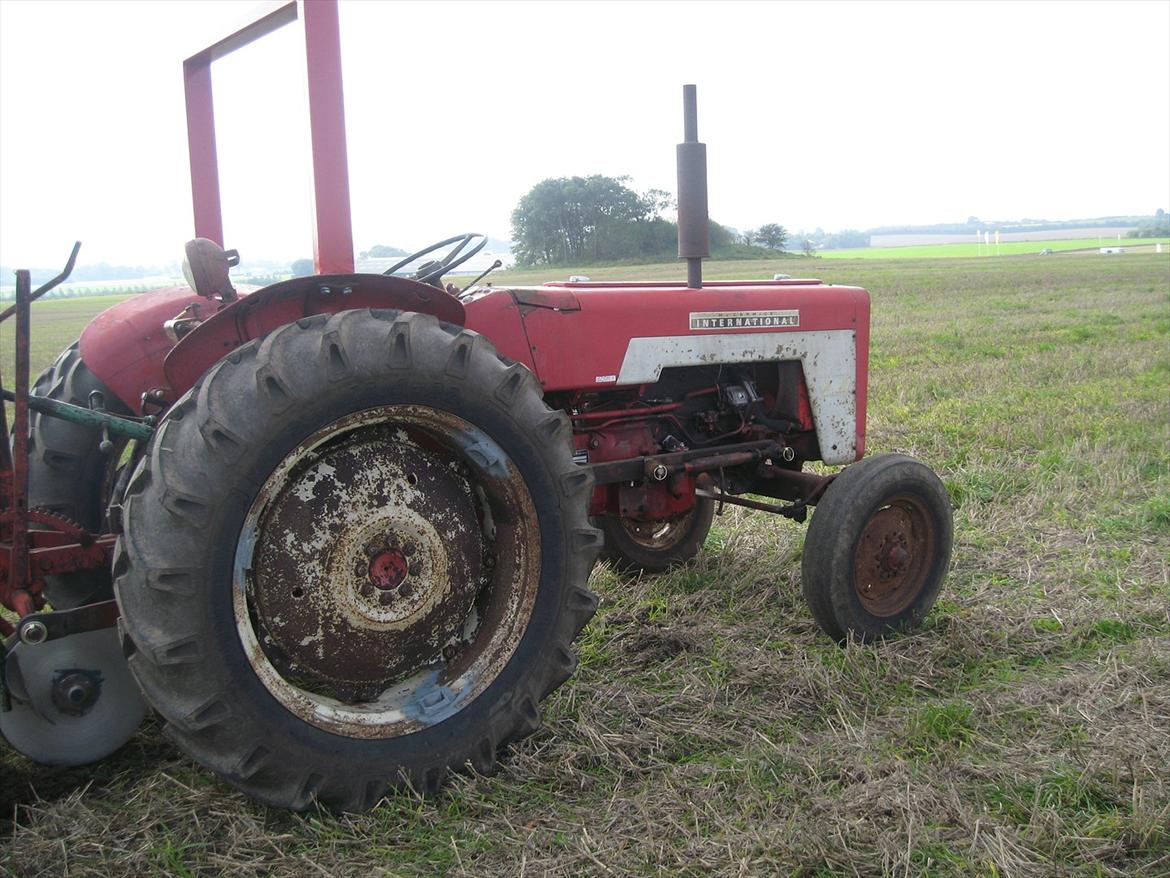 International Harvester 434 Diesel - Pløjestævne 2008 billede 6