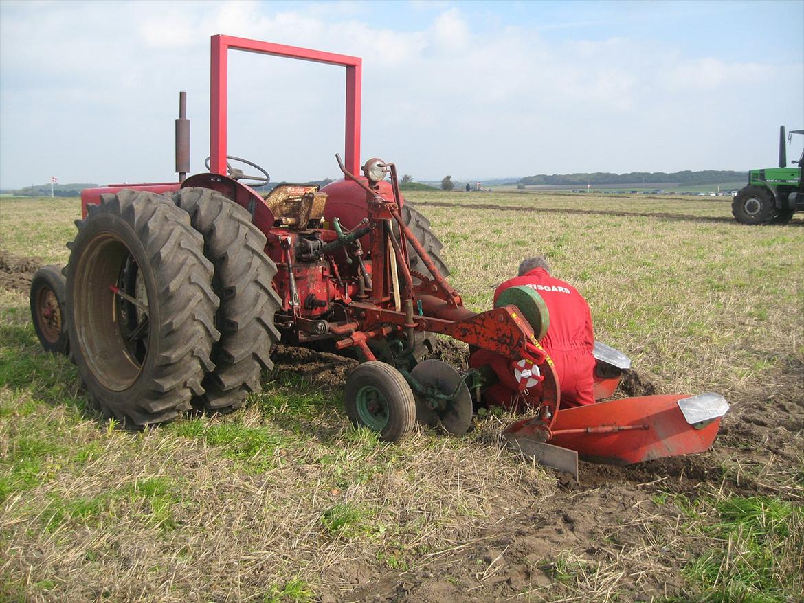 International Harvester 434 Diesel - Pløjestævne 2008 billede 8