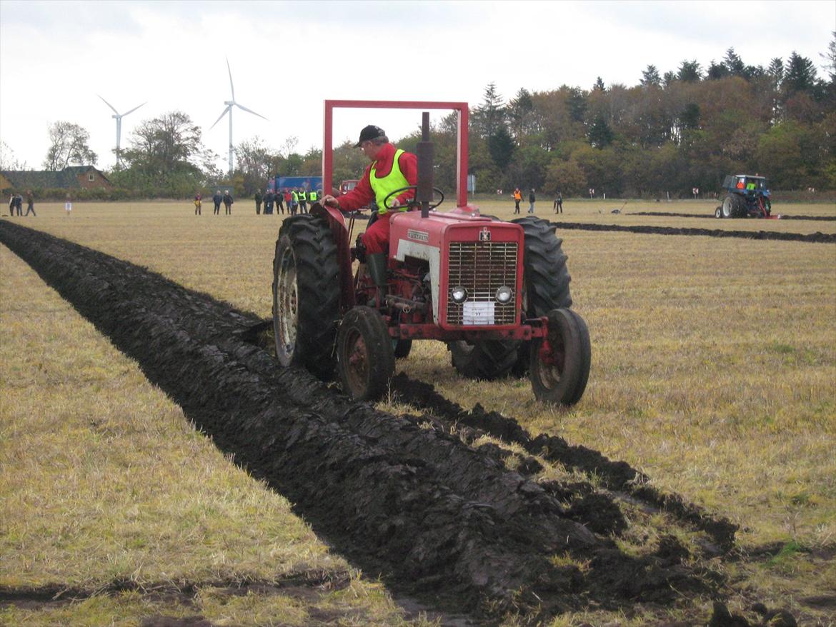 International Harvester 434 Diesel - DM 2009 billede 9