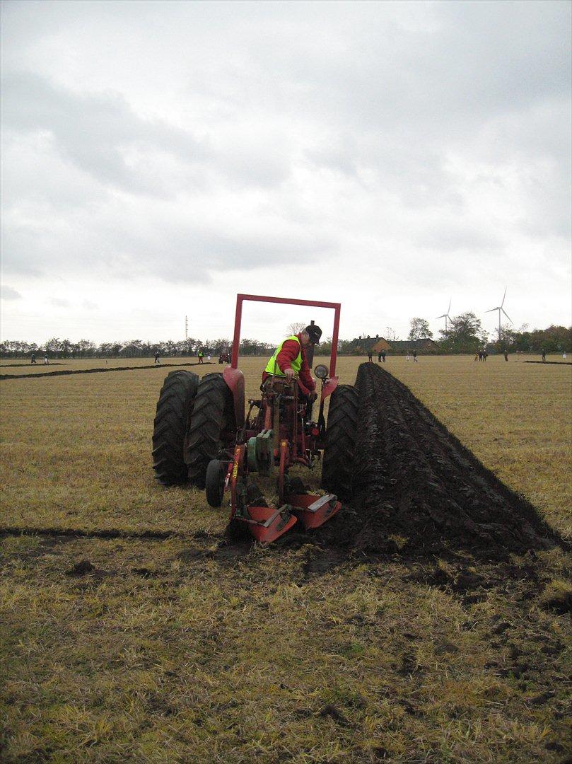 International Harvester 434 Diesel - DM 2009 billede 11